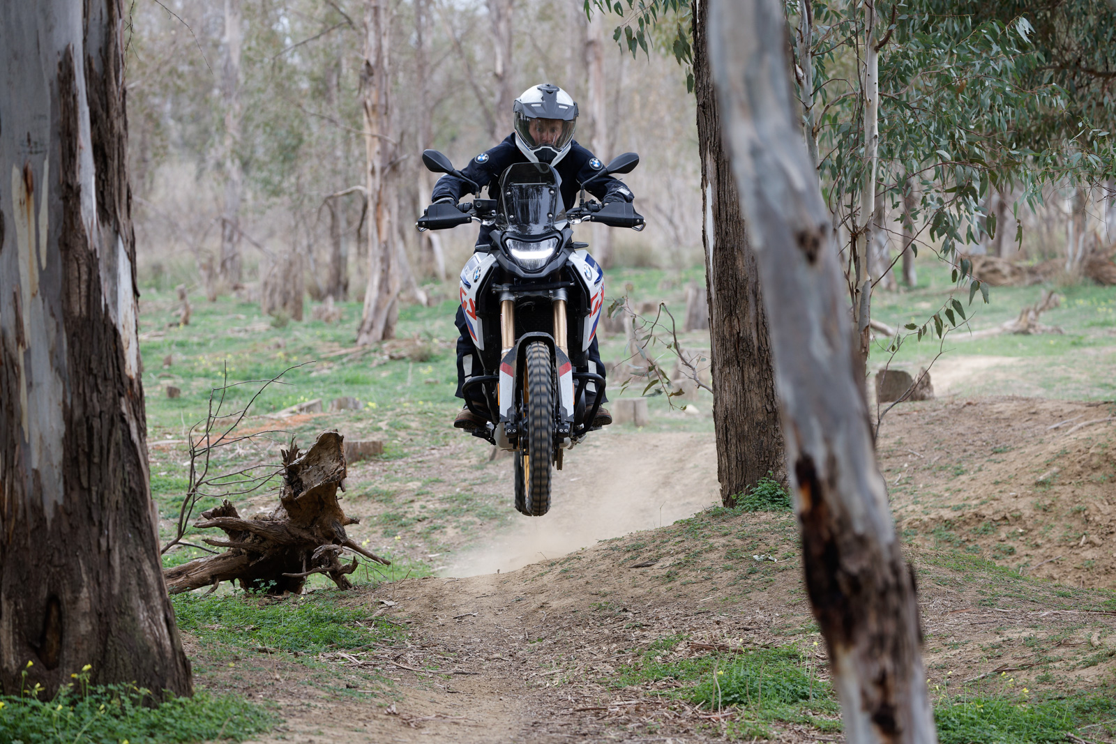 BMW F900GS 2024 37